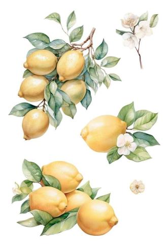 Papers For you - Transfer Aufkleber "Lemon" Decor Transfers 8x12 Inch