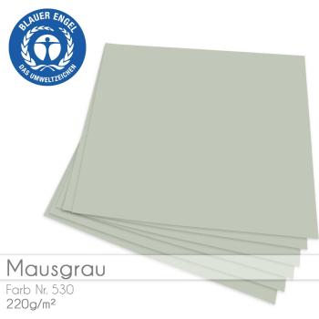 Cardstock "Basic" 12"x12" 220g/m² (30,5 x 30,5cm) in mausgrau