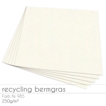 Cardstock "Recycling" 12"x12"  250g/m² (30,5 x 30,5cm) in recycling bermgras