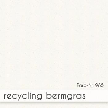 Karte - Einlegekarte DIN Lang 250g/m² in recycling bermgras