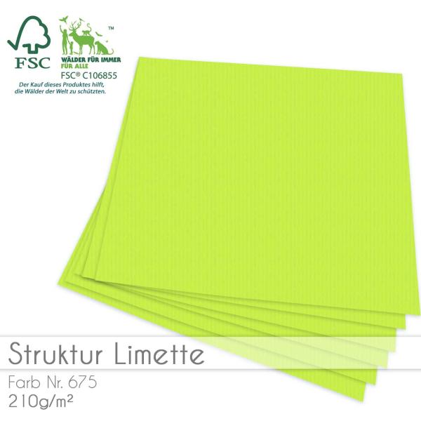 Cardstock "Struktur" 12"x12"  210g/m² (30,5 x 30,5cm) in struktur limette