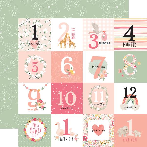 Echo Park "Welcome Baby Girl" 12x12" Collection Kit