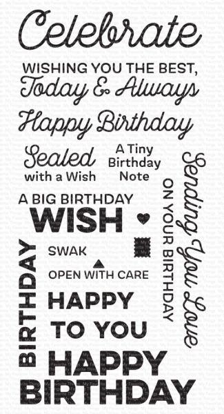 My Favorite Things Stempelset "Big Birthday Wishes" Clear Stamp