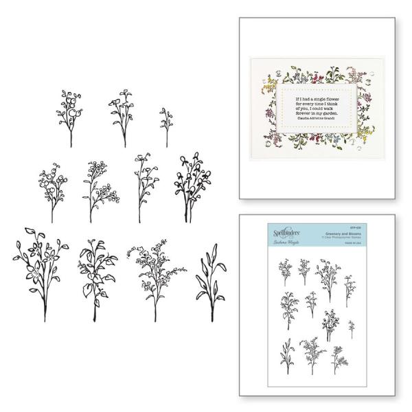 Spellbinders Stempelset "Greenery and Blooms"