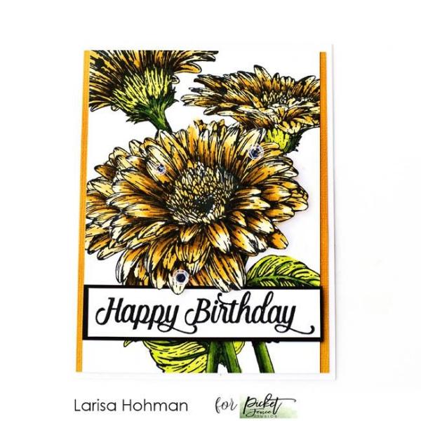 Picket Fence Studios Wild Daisies Clear Stamps 