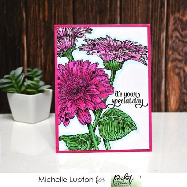 Picket Fence Studios Wild Daisies Clear Stamps 