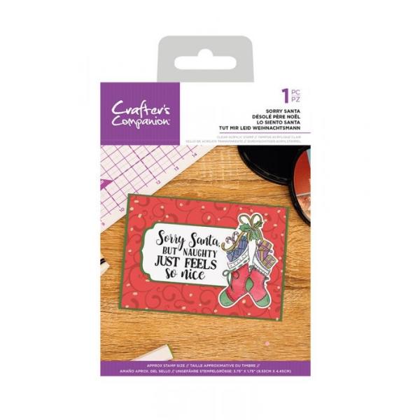 Crafters Companion - Sorry Santa  - Clear Stamps