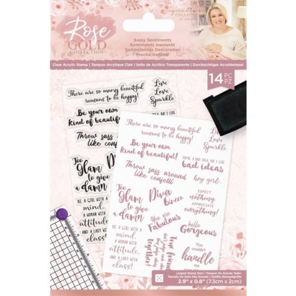 Crafters Companion - Rose Gold Sassy Sentiments  - Clear Stamps