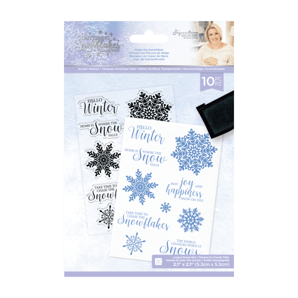 Crafters Companion - Glittering Snowflakes A6 - Chase The Sno - Clear Stamps