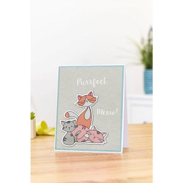 Crafters Companion - Pawsitivity Purrfect - Stanze & Stempel