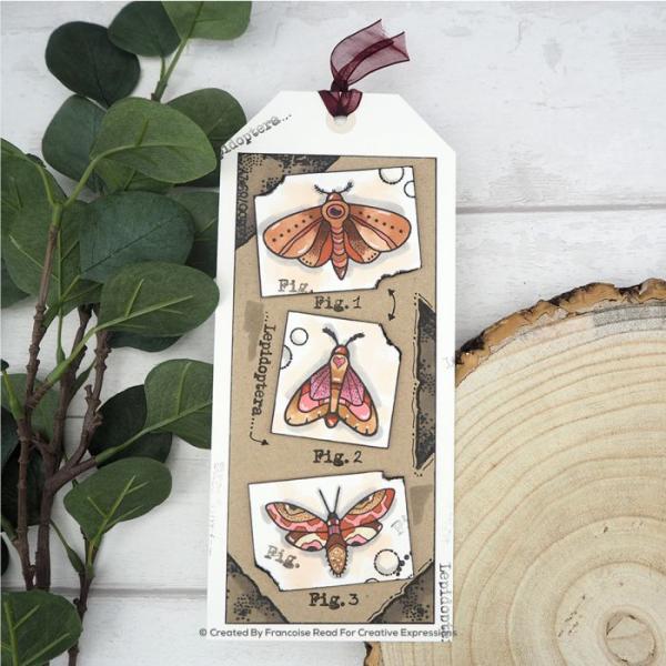 Woodware Moths  Clear Stamps - Stempel 