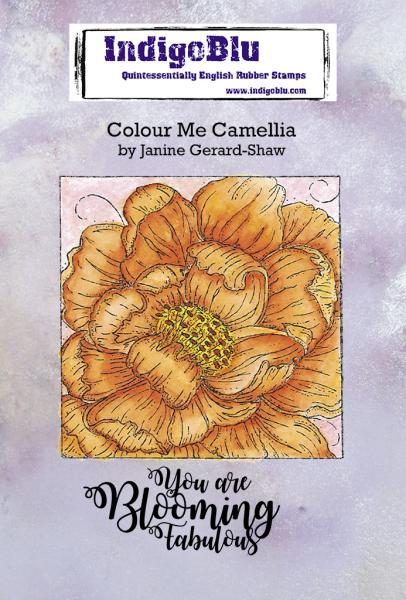 IndigoBlu "Colour Me Camellia" A6 Rubber Stamp