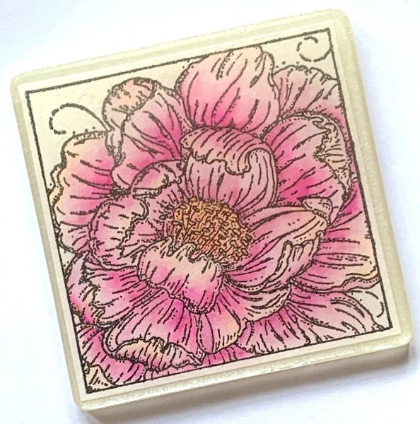 IndigoBlu "Colour Me Camellia" A6 Rubber Stamp