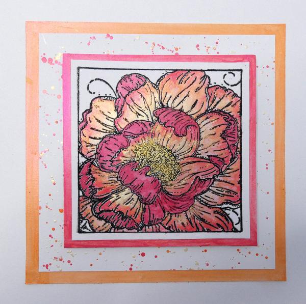 IndigoBlu "Colour Me Camellia" A6 Rubber Stamp