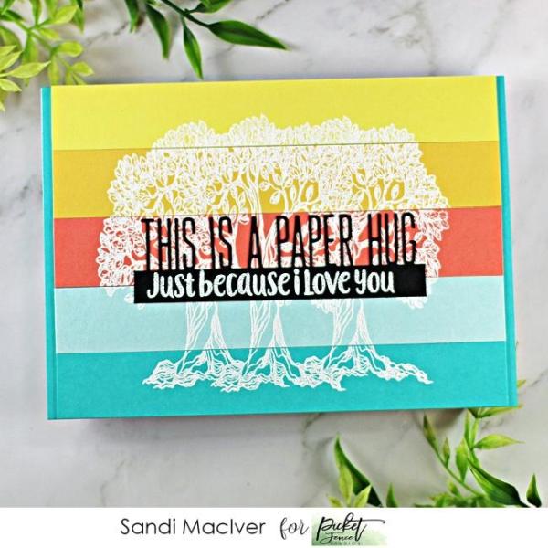 Picket Fence Studios This is a Paper Hug Word Topper  Die (PFSD-185)