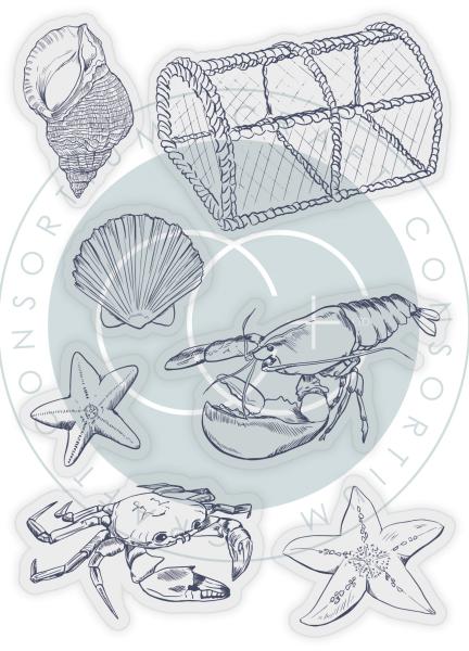 Craft Consortium Sea & Shore Sea Clear Stamps 