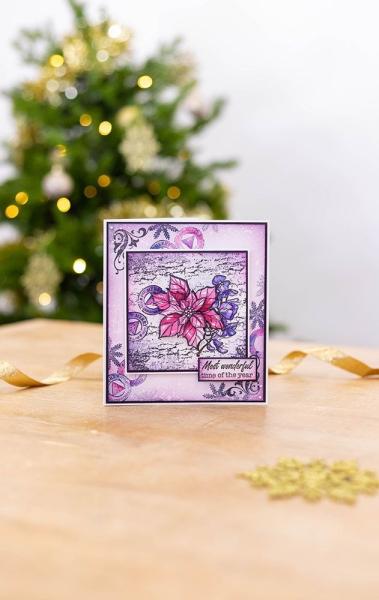 Crafters Companion - Christmas Poinsettia  - Clear Stamps