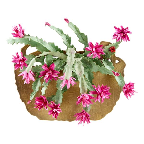 Spellbinders Die "Christmas Cactus Etched" Stanzschablone