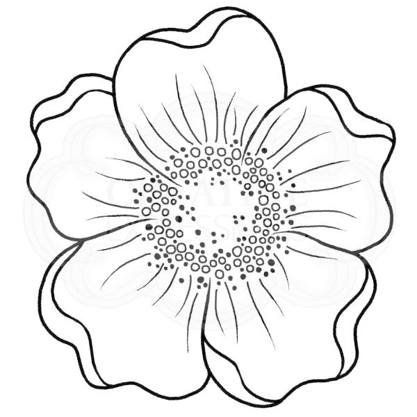 Woodware Mini Scented Bloom   Clear Stamp - Stempel 