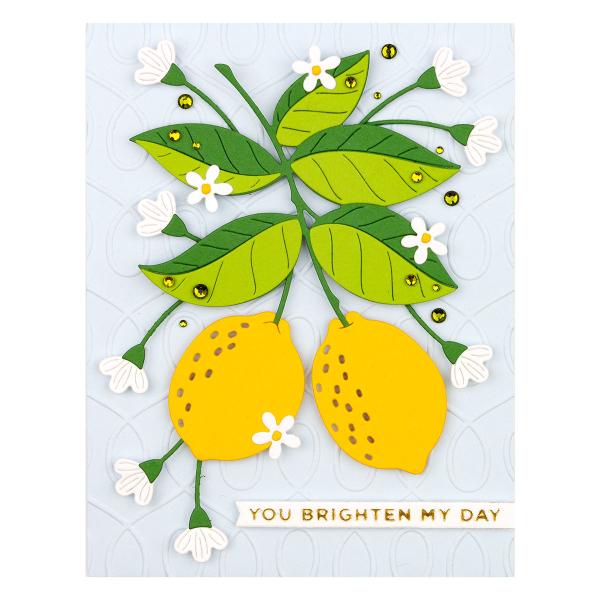 Spellbinders Die "Lemon Zest Etched" Stanzschablone