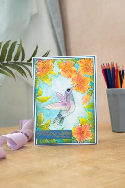 Crafters Companion - Heavenly Hummingbi - Prägefolder