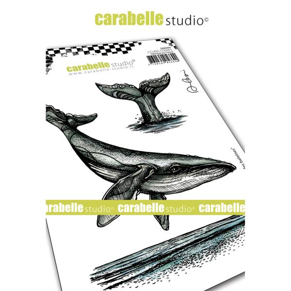 Carabelle Studio - Cling Stamp Art -  Le Chant Des Baleines - Stempel