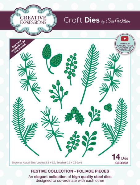 Creative Expressions - Craft Dies -  Festive Foliage Pieces  - Stanze