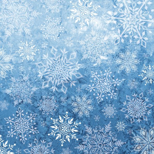 Crafters Companion - Winter's Sparkle - 12" Paper Pack