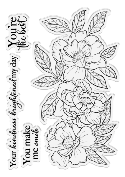 Crafters Companion - Stamp & Dies -Pretty Peonies  - Stempel & Stanze 