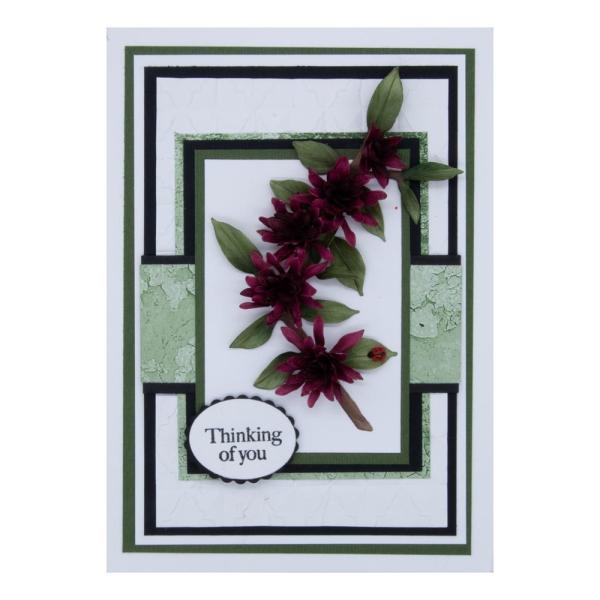 Spellbinders - Dies - "Carolina Allspice" - Stanzschablonen