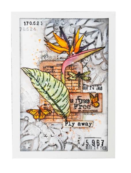 Studio Light - Stempel "Script Strelitzia" Clear Stamps