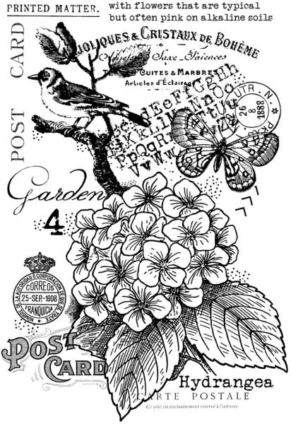 Woodware - Stempel "Hydrangea " Clear Stamps