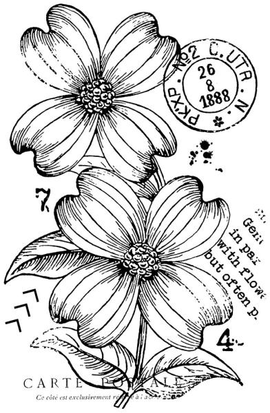 Woodware - Stempel "Dogwood Flowers" Clear Stamps