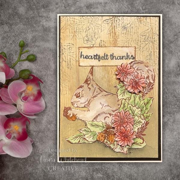 Creative Expressions - Stempelset A6 "Nuts About You" Clear Stamps