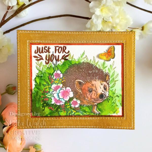 Creative Expressions - Stempelset A6 "Over The Hedge" Clear Stamps