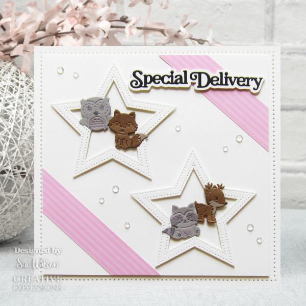 Creative Expressions - Stanzschablone "Mini Shadowed Sentiments Special Delivery" Craft Dies Mini Design by Sue Wilson