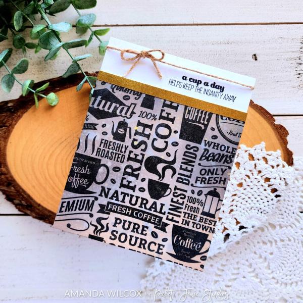 Picket Fence Studios - Stempel "Our Finest Selection" Clear stamps