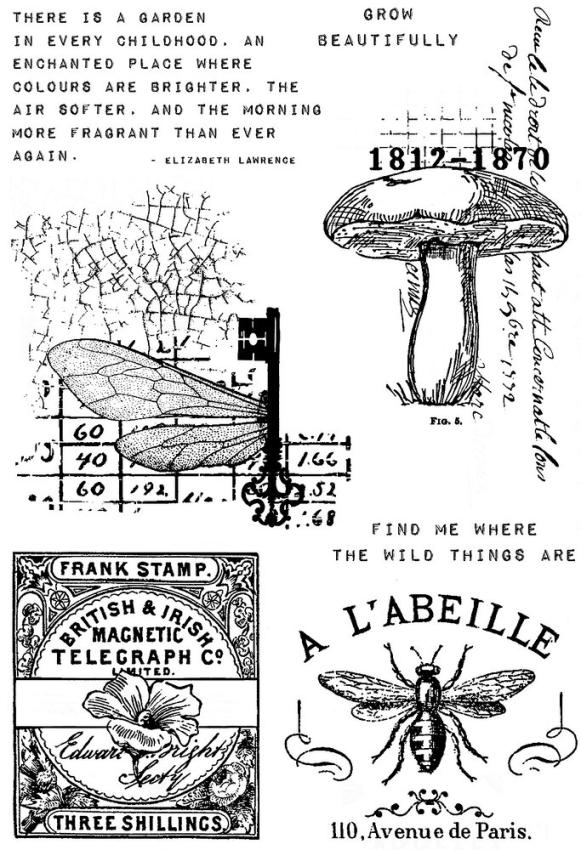 Creative Expressions - Stempelset A6 "Snippets of Nature" Clear Stamps