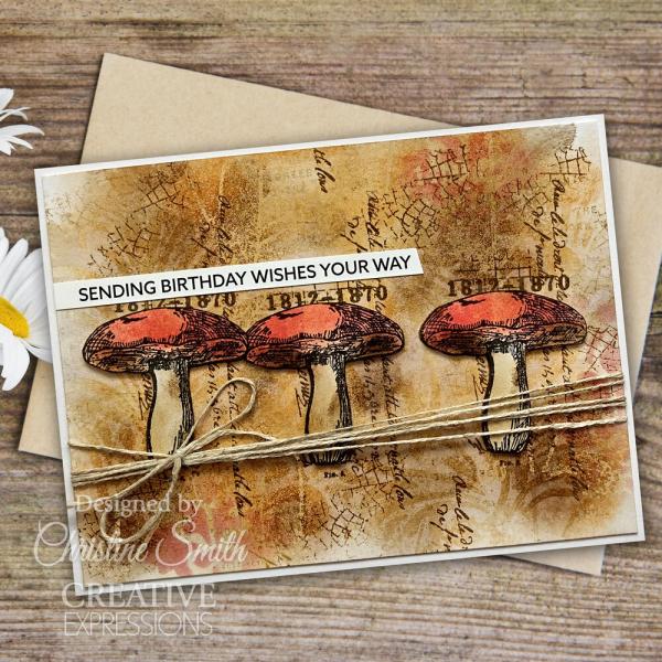 Creative Expressions - Stempelset A6 "Snippets of Nature" Clear Stamps