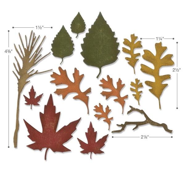 Sizzix - Stanzschablone "Fall Foliage" Thinlits Craft Dies by Tim Holtz