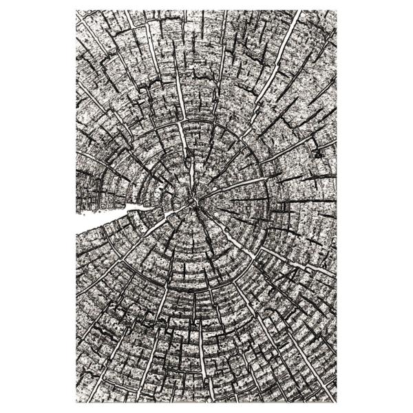 Sizzix - 3D Prägefolder "Tree Rings" Embossing Folder Design by Tim Holtz