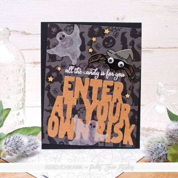 Picket Fence Studios - Stanzschablone "Enter at Your Own Risk" Dies 3,77x2,74 Inch