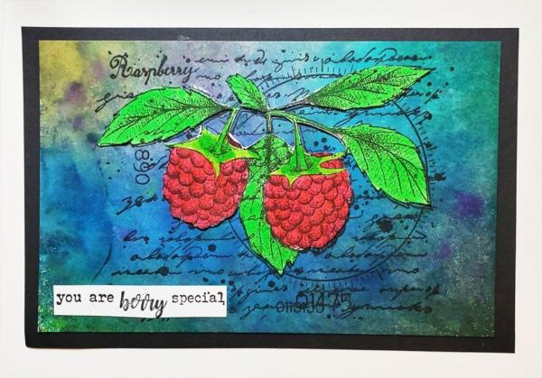 IndigoBlu - Gummistempel Set "Raspberries" A6 Rubber Stamp