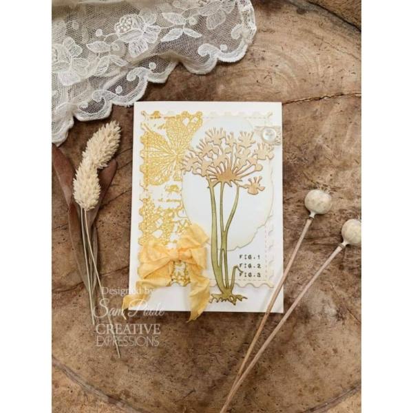 Creative Expressions - Stempelset "Faded Flora" Clear Stamps 6x4 Inch Design by Sam Poole