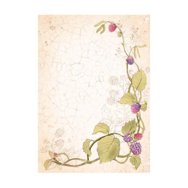 Stamperia - Decopatch Papier "Backgrounds" Decoupage A6 - 8 Bogen  