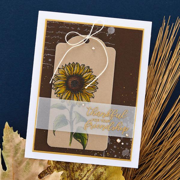 Spellbinders - Stempelset "Sunflower Greetings" Clear Stamps