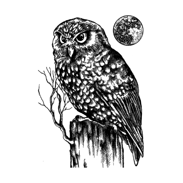 Crafty Individuals - Gummistempel "Owl and Moon" Unmounted Rubber Stamps 