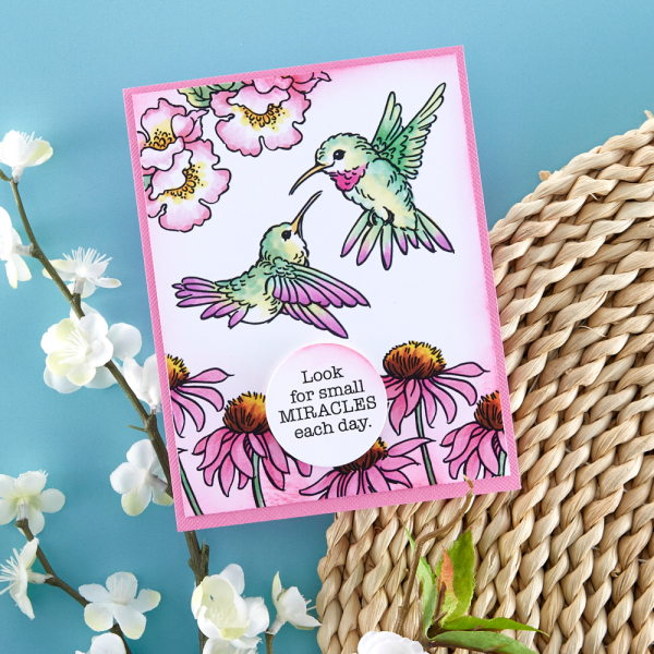 Stampendous - Stempelset "Hummingbird Day" Clear Stamps