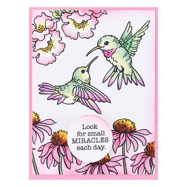 Stampendous - Stempelset "Hummingbird Day" Clear Stamps