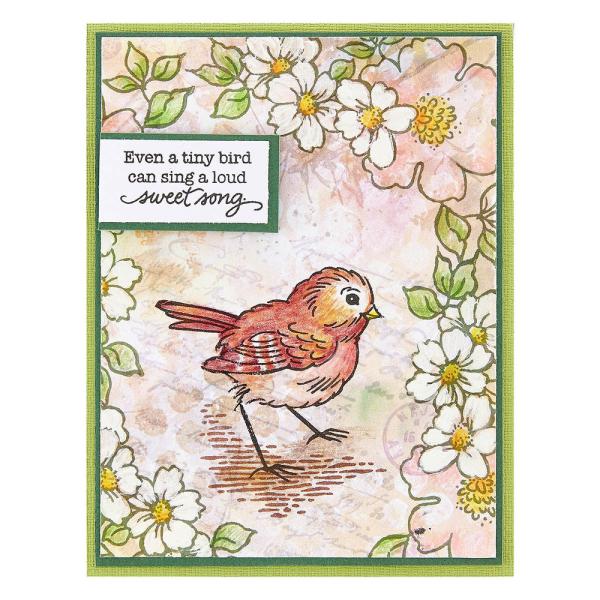 Stampendous - Stempelset "Sweet Song" Clear Stamps